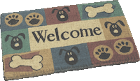 Welcome!